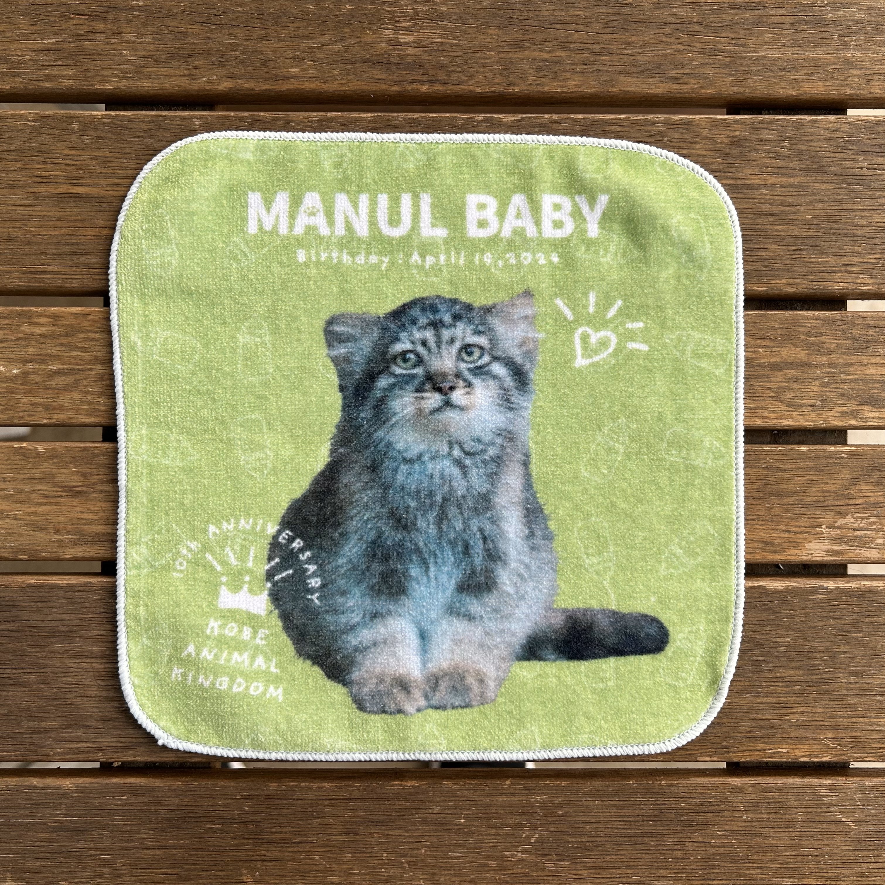 ミニタオル MANUL BABY GR 1頭 マヌルネコベビー | 神戸どうぶつ王国NS